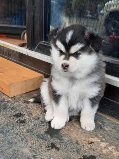 images/J-Wurf/Woche6/Jane Fonda-6.jpg